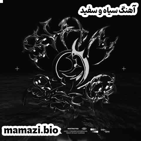 آهنگ سیاه و سفید